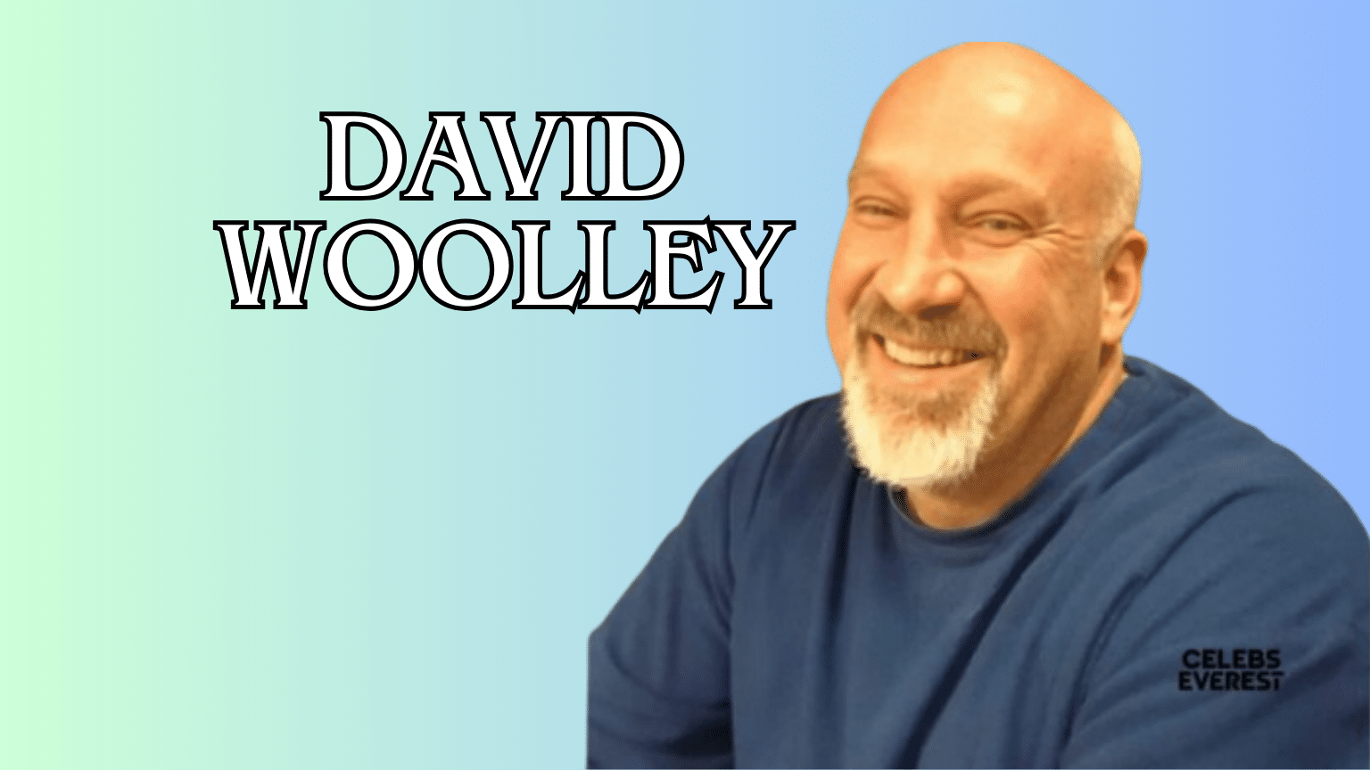 david woolley